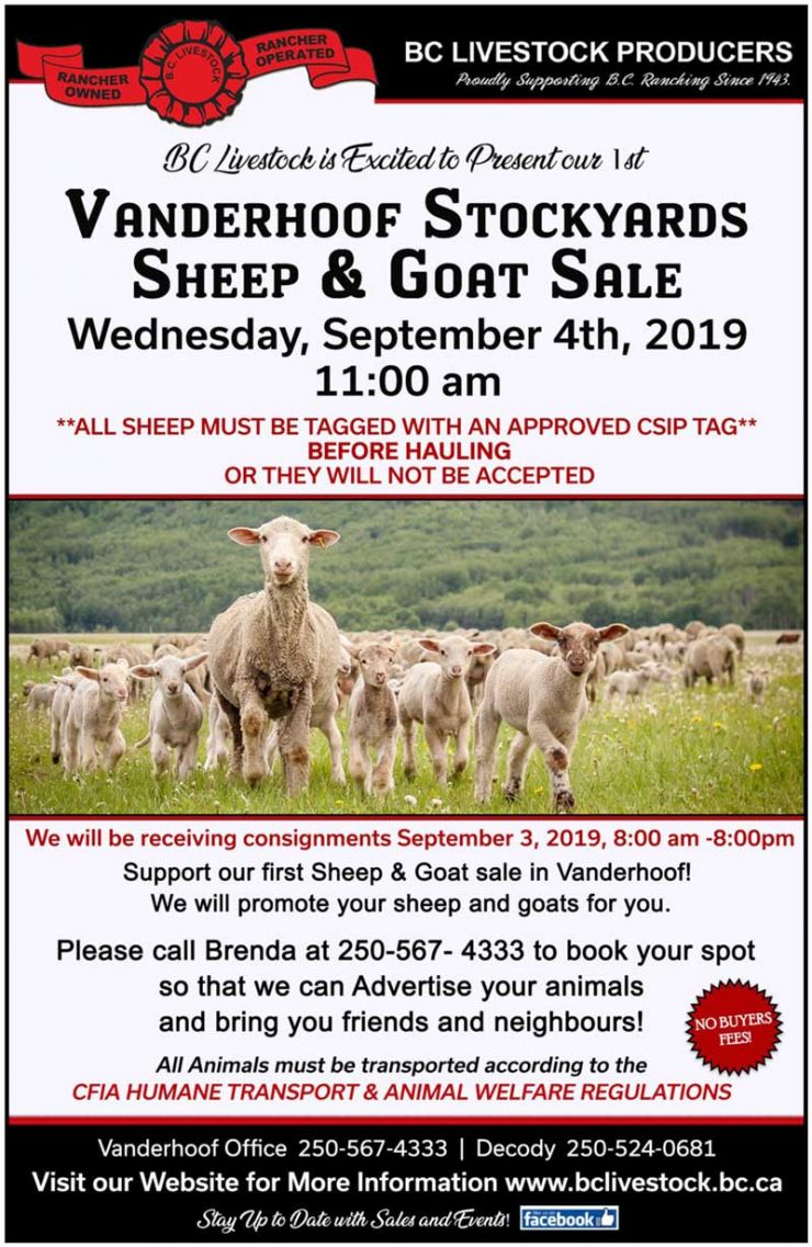 BC Sheep Federation Sheep and Goat Sale